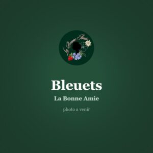 Bleuets sauvages